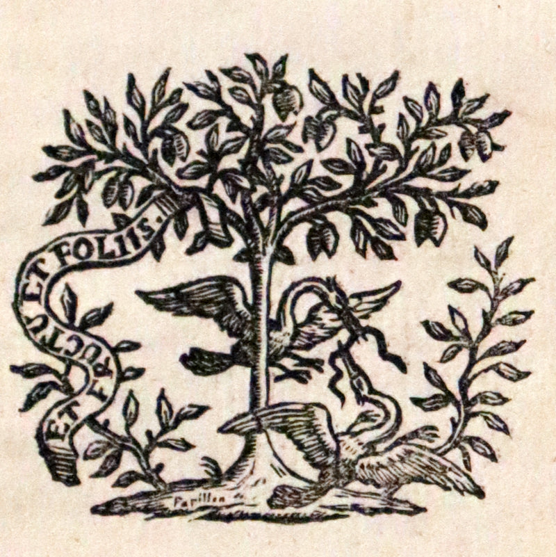 1767 Rare Latin Book - Novum Jesu-Christi Testamentum - New Testament with a Map.