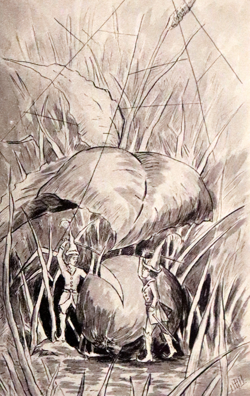 1894 Scarce First Edition - Adventures in Fairyland written and illustrated by David H. Brewer.