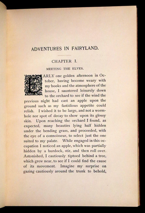 1894 Scarce First Edition - Adventures in Fairyland written and illustrated by David H. Brewer.