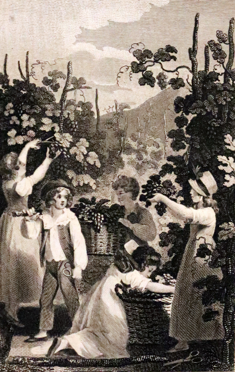 1806 Rare Book Set - Tales of the Castle: or Stories of Instruction and Delight by Madame De Genlis.