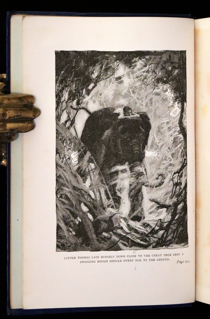 1895 Rare Book - The Jungle Book by Rudyard Kipling, illustrated by  J. L. Kipling, W. H. Drake, and P. Frenzeny.