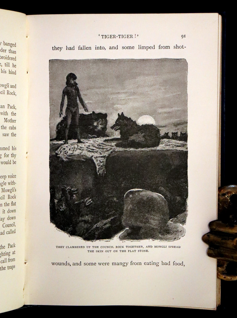 1895 Rare Book - The Jungle Book by Rudyard Kipling, illustrated by  J. L. Kipling, W. H. Drake, and P. Frenzeny.