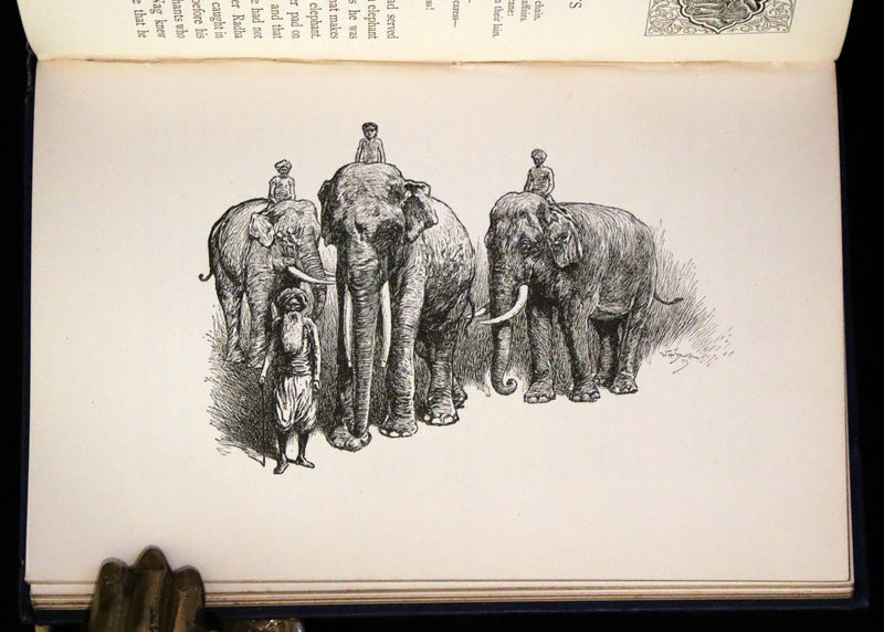 1895 Rare Book - The Jungle Book by Rudyard Kipling, illustrated by  J. L. Kipling, W. H. Drake, and P. Frenzeny.