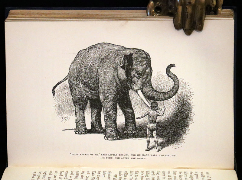 1895 Rare Book - The Jungle Book by Rudyard Kipling, illustrated by  J. L. Kipling, W. H. Drake, and P. Frenzeny.