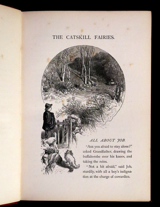 1881 Scarce First UK Edition - The Catskill Fairies by Virginia W. Johnson illustrated by Alfred Fredericks.