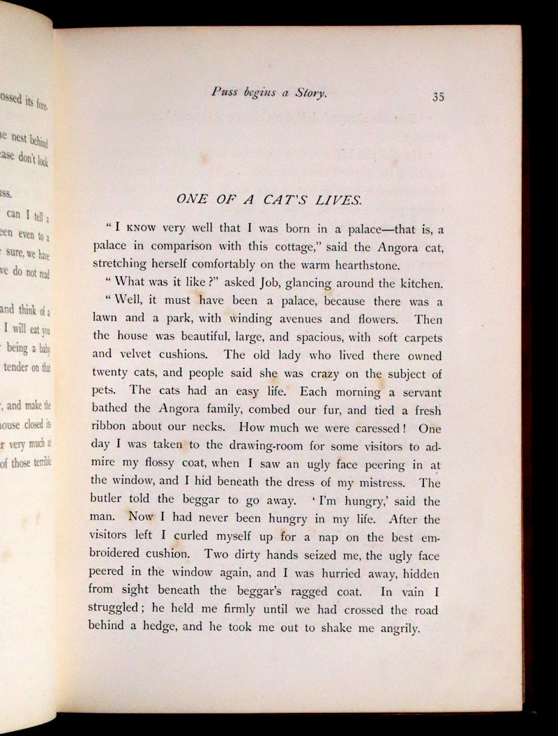 1881 Scarce First UK Edition - The Catskill Fairies by Virginia W. Johnson illustrated by Alfred Fredericks.