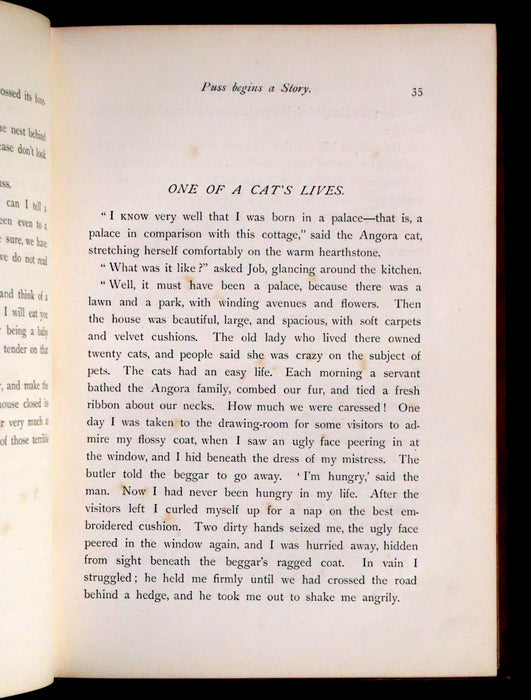 1881 Scarce First UK Edition - The Catskill Fairies by Virginia W. Johnson illustrated by Alfred Fredericks.