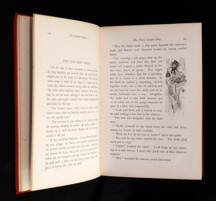 1881 Scarce First UK Edition - The Catskill Fairies by Virginia W. Johnson illustrated by Alfred Fredericks.