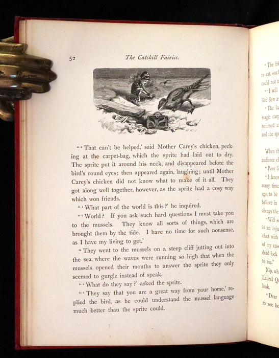 1881 Scarce First UK Edition - The Catskill Fairies by Virginia W. Johnson illustrated by Alfred Fredericks.