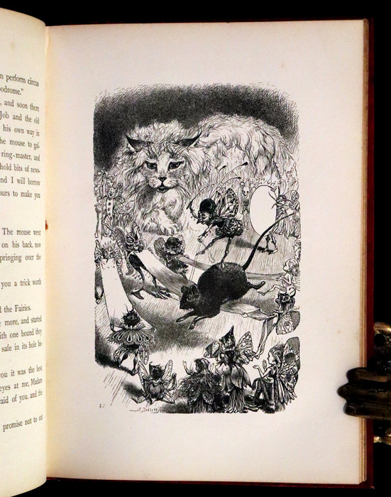 1881 Scarce First UK Edition - The Catskill Fairies by Virginia W. Johnson illustrated by Alfred Fredericks.