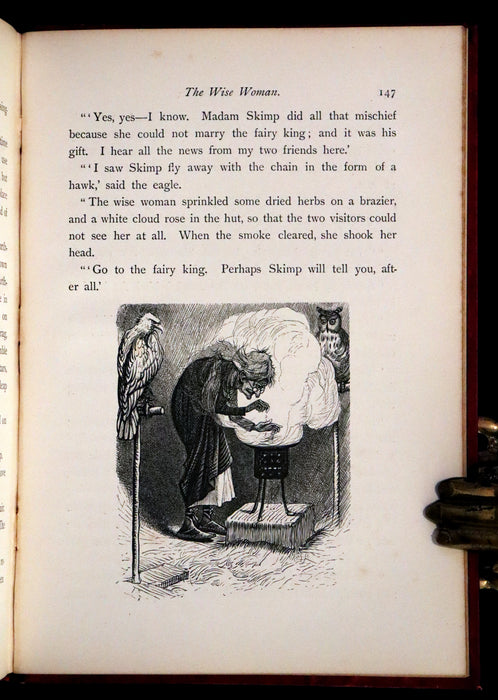 1881 Scarce First UK Edition - The Catskill Fairies by Virginia W. Johnson illustrated by Alfred Fredericks.