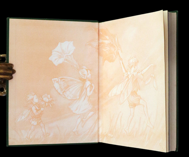1950 Rare First Edition - Fairies of the Flowers and Trees by Cicely Mary Barker.