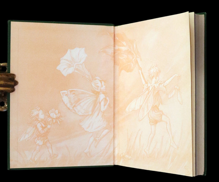 1950 Rare First Edition - Fairies of the Flowers and Trees by Cicely Mary Barker.