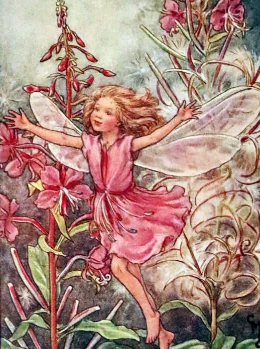 1950 Rare First Edition - Fairies of the Flowers and Trees by Cicely Mary Barker.