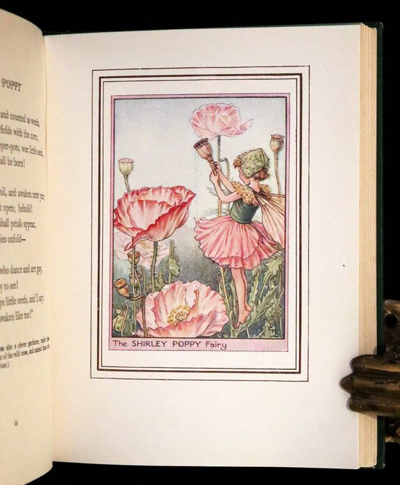 1950 Rare First Edition - Fairies of the Flowers and Trees by Cicely Mary Barker.