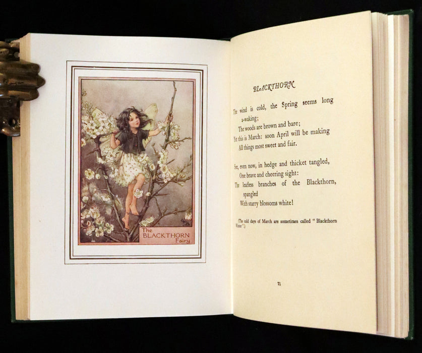 1950 Rare First Edition - Fairies of the Flowers and Trees by Cicely Mary Barker.