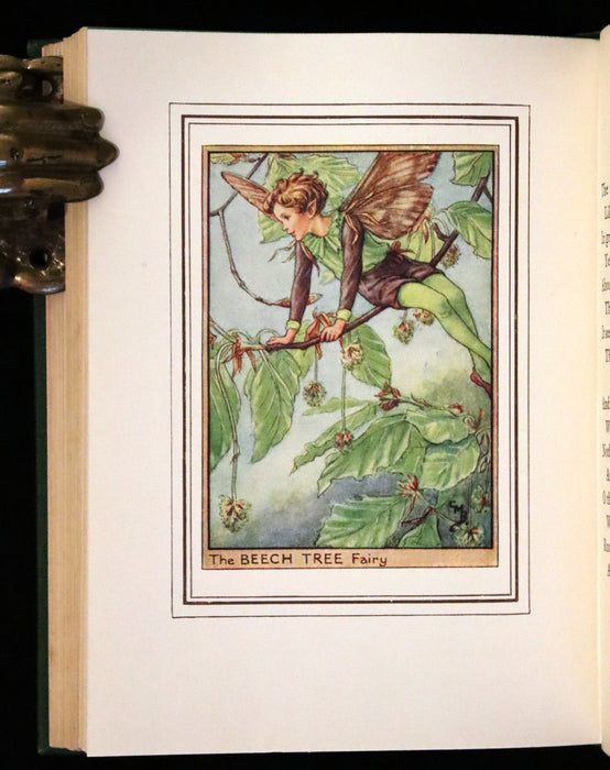 1950 Rare First Edition - Fairies of the Flowers and Trees by Cicely Mary Barker.