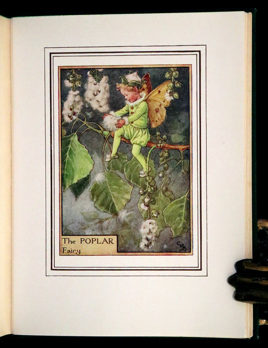 1950 Rare First Edition - Fairies of the Flowers and Trees by Cicely Mary Barker.