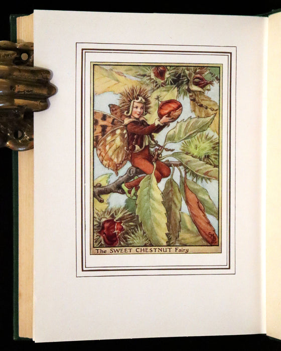 1950 Rare First Edition - Fairies of the Flowers and Trees by Cicely Mary Barker.