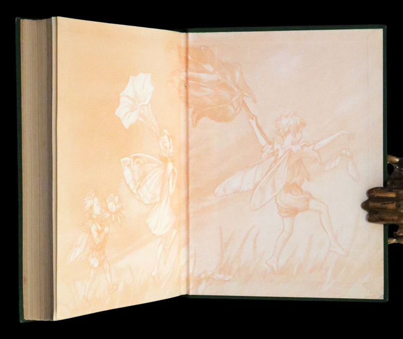 1950 Rare First Edition - Fairies of the Flowers and Trees by Cicely Mary Barker.