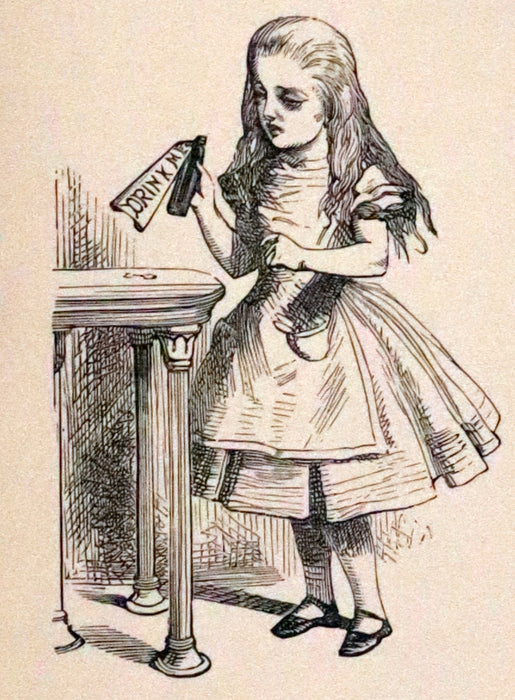 1888 Scarce early edition - Alice's Adventures in Wonderland by Lewis Carroll.