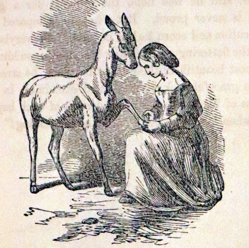 1840 Scarce Book - Little Folk Fairy Tales, Puss in Boots, The White Cat, The Ugly Little Duck, ... Illustrated.