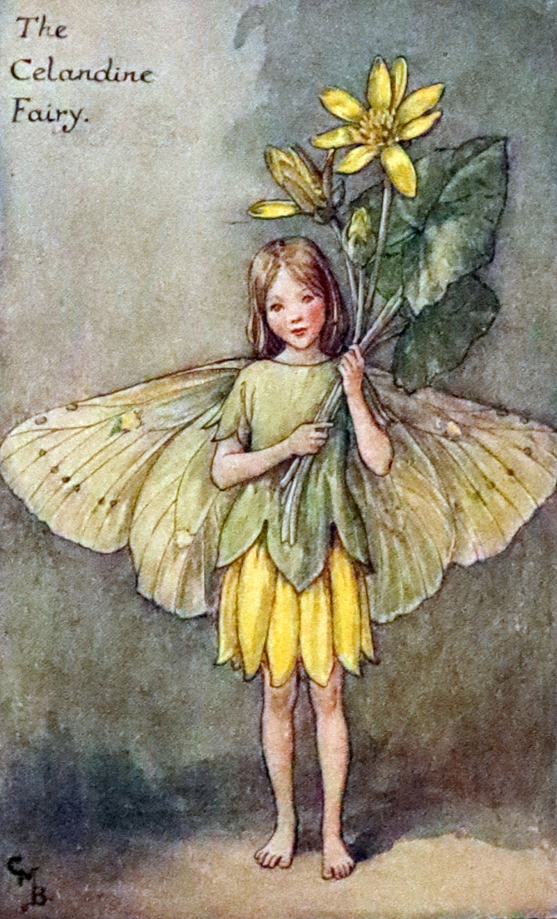 1930 First Edition - Flower Songs of the Seasons by Cicely Mary Barker with Music.