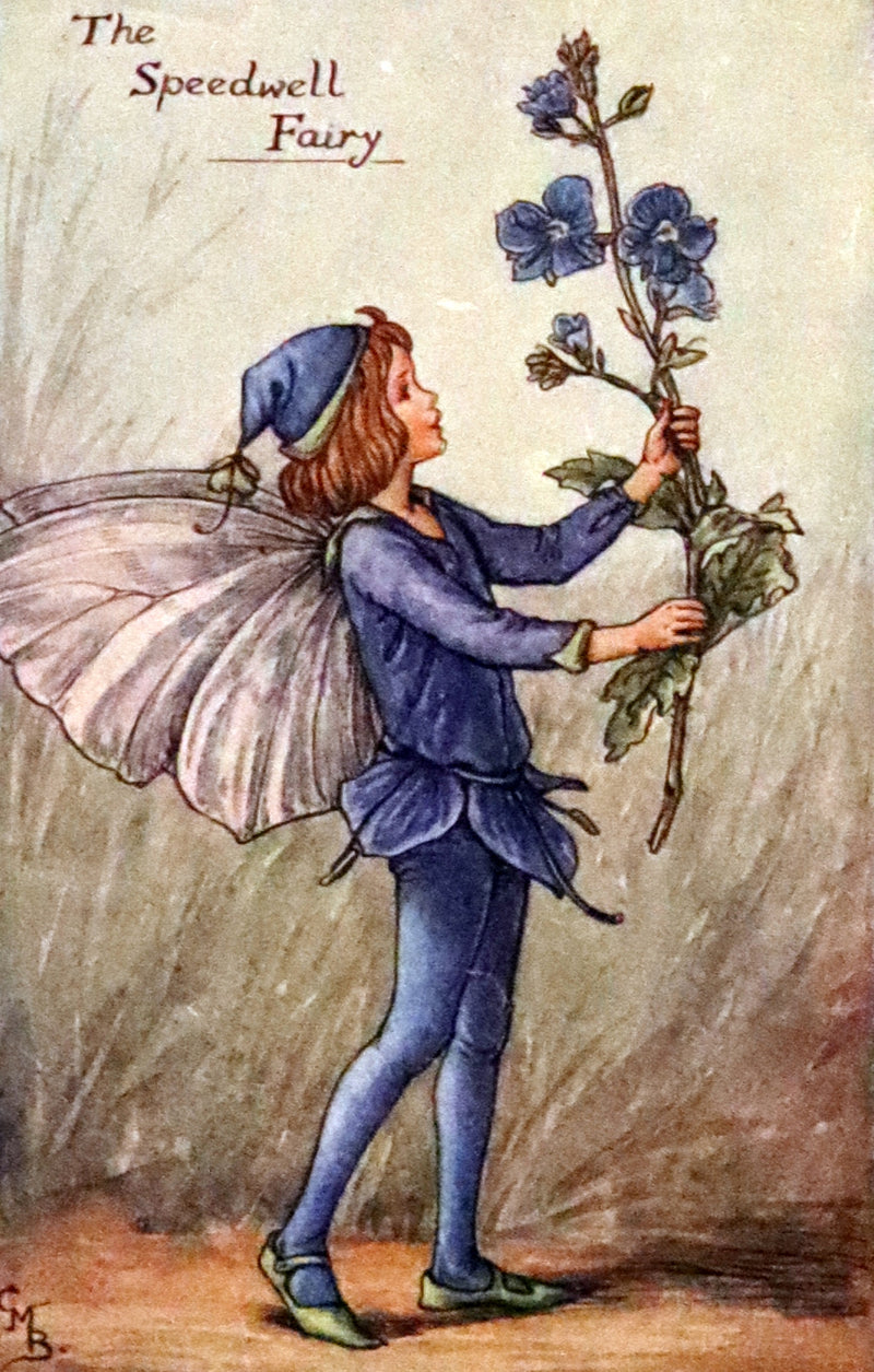 1930 First Edition - Flower Songs of the Seasons by Cicely Mary Barker with Music.