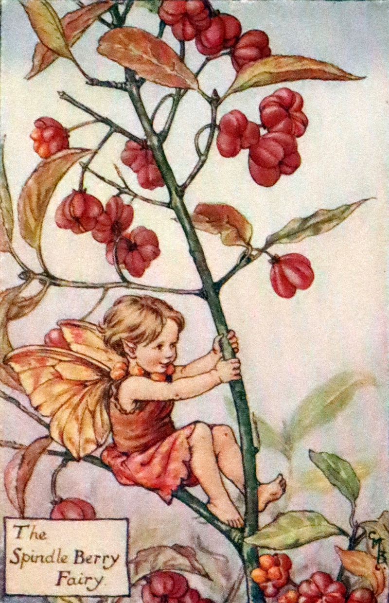 1930 First Edition - Flower Songs of the Seasons by Cicely Mary Barker with Music.