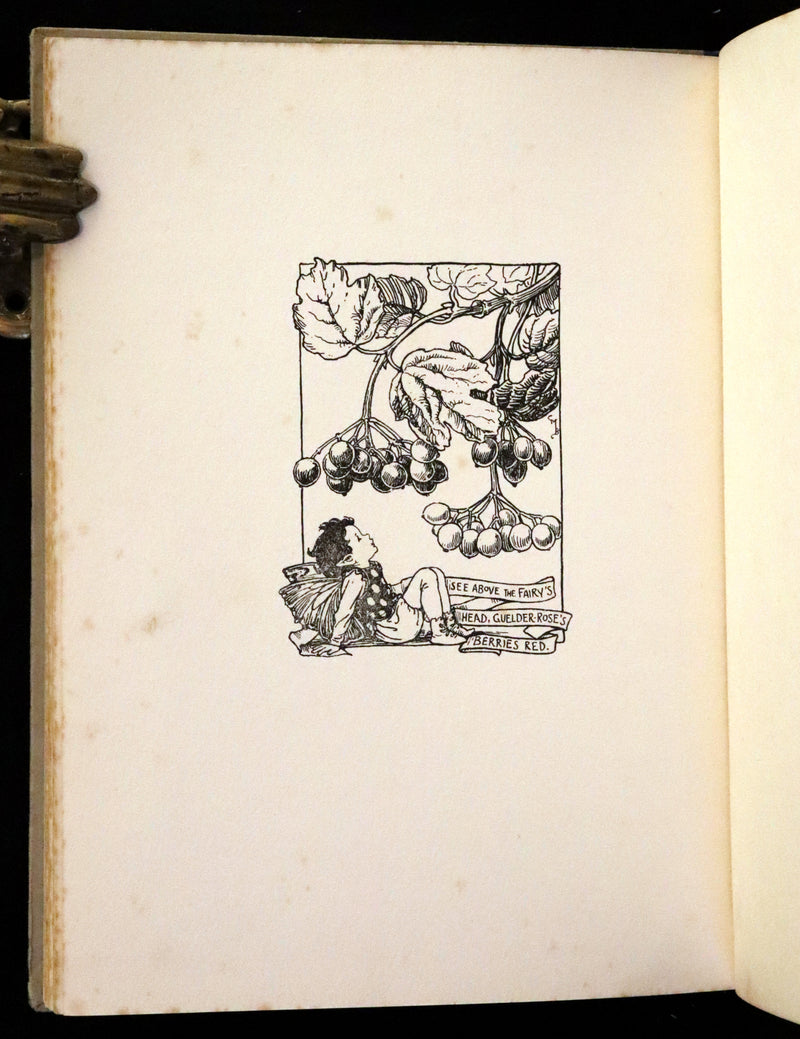 1926 First Edition - Flower Fairies of the Autumn Songs with Music by Cicely Mary Barker.