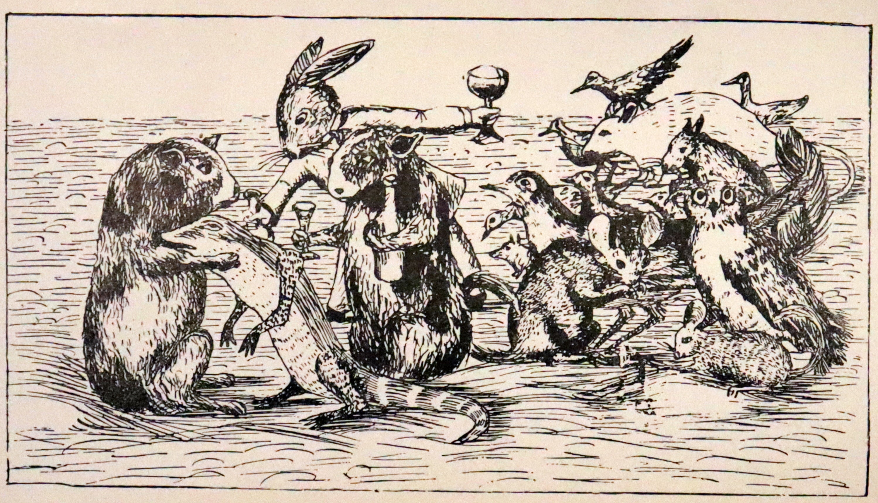 1886 Rare First Edition - Alice's Adventures Under Ground