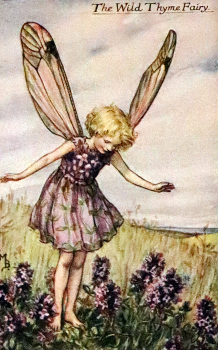 1926 First Edition - Flower Fairies of the Summer Songs with Music by Cicely Mary Barker.