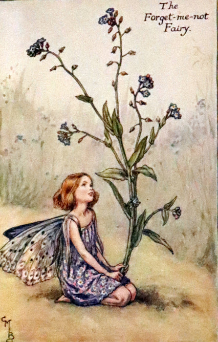 1926 First Edition - Flower Fairies of the Summer Songs with Music by Cicely Mary Barker.