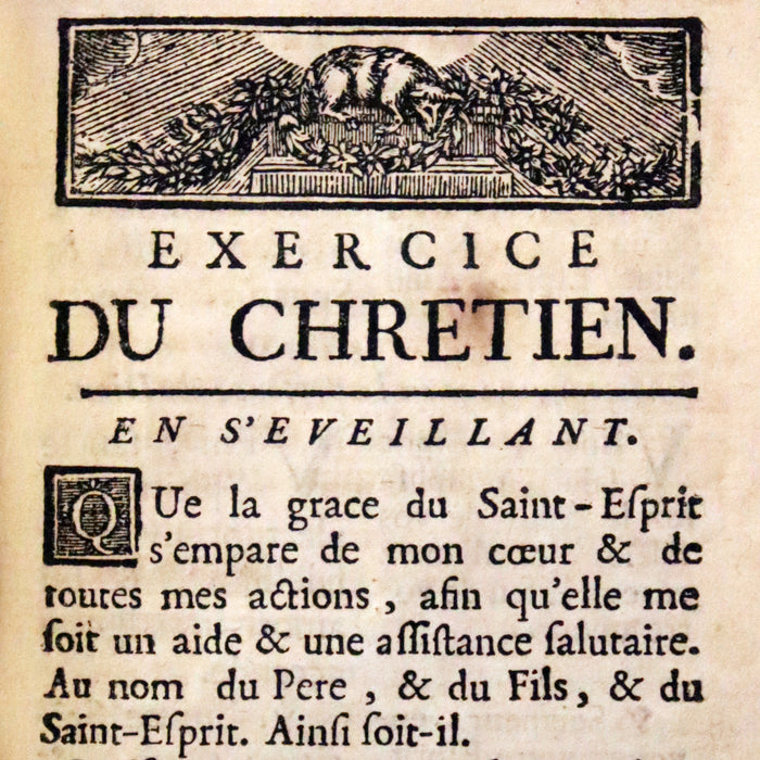 1753 Scarce French Latin Book in an Exquisite Binding - New Hours Dedicated to Madame the Princesse.