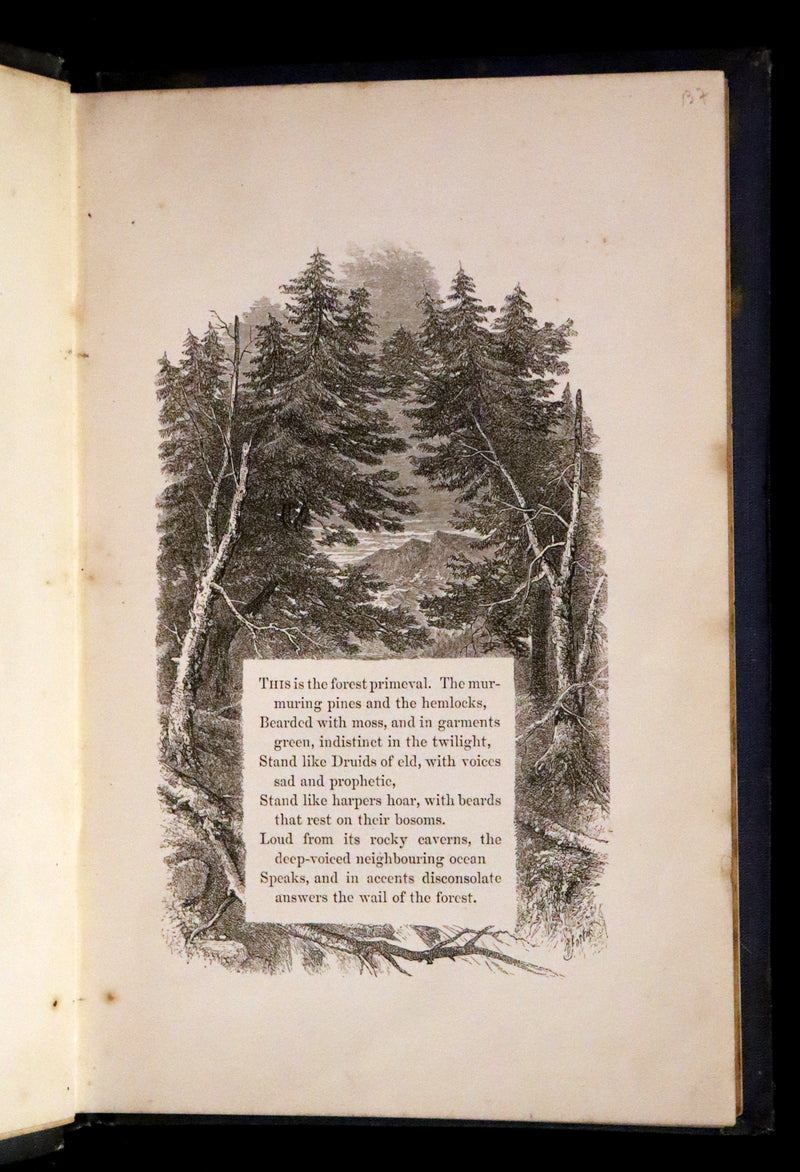1852 Rare Victorian Book - Evangeline, A Tale of Acadie by Henry Wadsworth Longfellow. Illustrated.