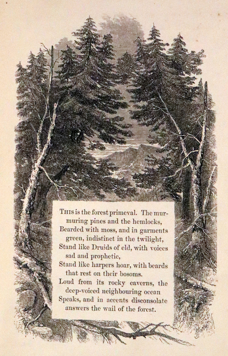 1852 Rare Victorian Book - Evangeline, A Tale of Acadie by Henry Wadsworth Longfellow. Illustrated.