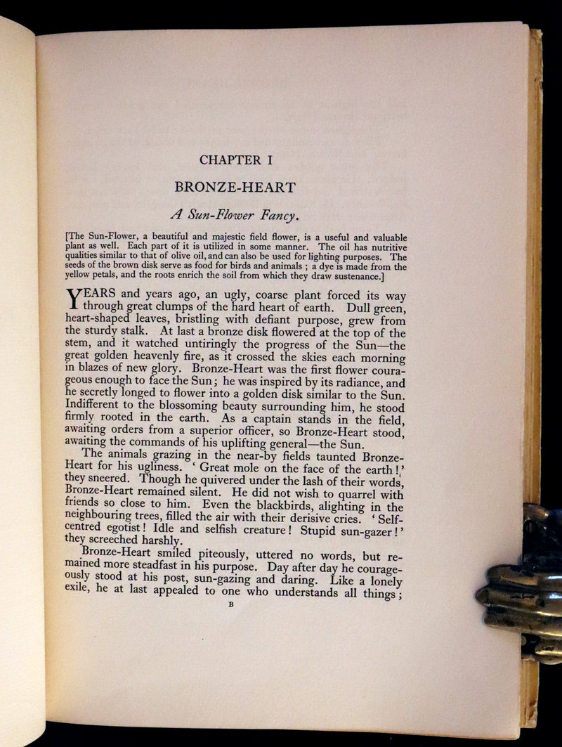 1926 Rare Book - Fairy Flowers, Nature Legends of Fact and Fantasy by Isidora Newman Illustrated by Willy Pogany.