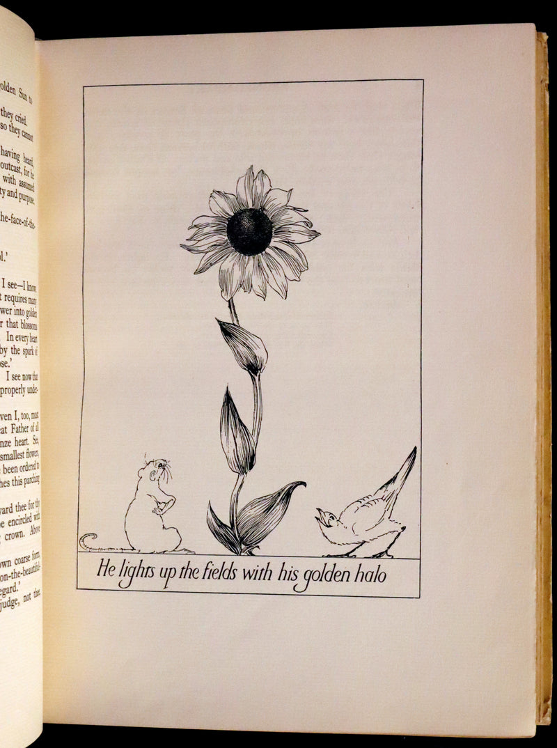 1926 Rare Book - Fairy Flowers, Nature Legends of Fact and Fantasy by Isidora Newman Illustrated by Willy Pogany.