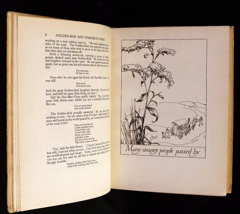 1926 Rare Book - Fairy Flowers, Nature Legends of Fact and Fantasy by Isidora Newman Illustrated by Willy Pogany.