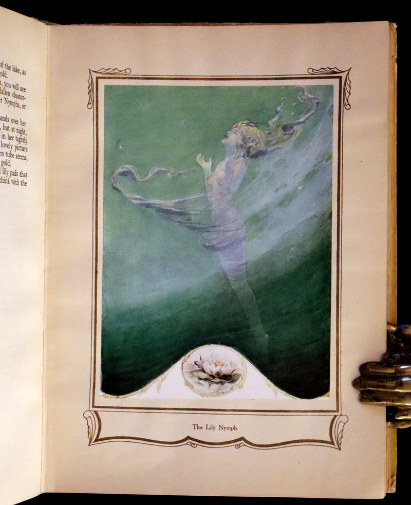 1926 Rare Book - Fairy Flowers, Nature Legends of Fact and Fantasy by Isidora Newman Illustrated by Willy Pogany.