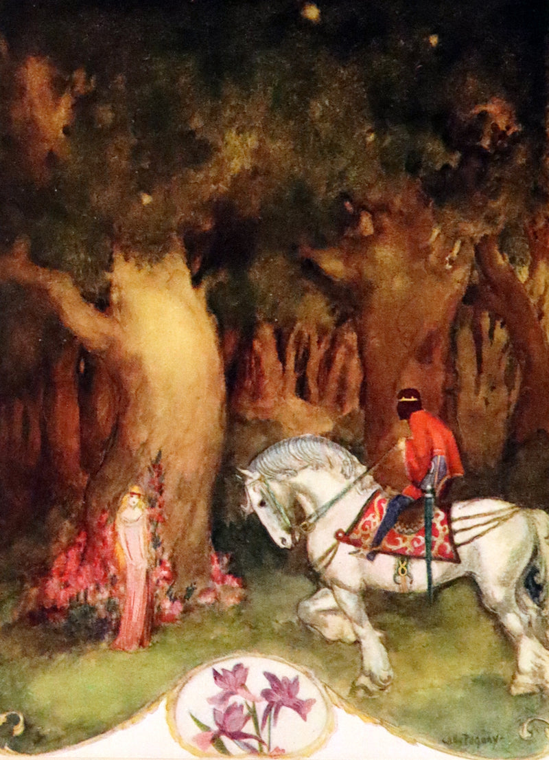 1926 Rare Book - Fairy Flowers, Nature Legends of Fact and Fantasy by Isidora Newman Illustrated by Willy Pogany.