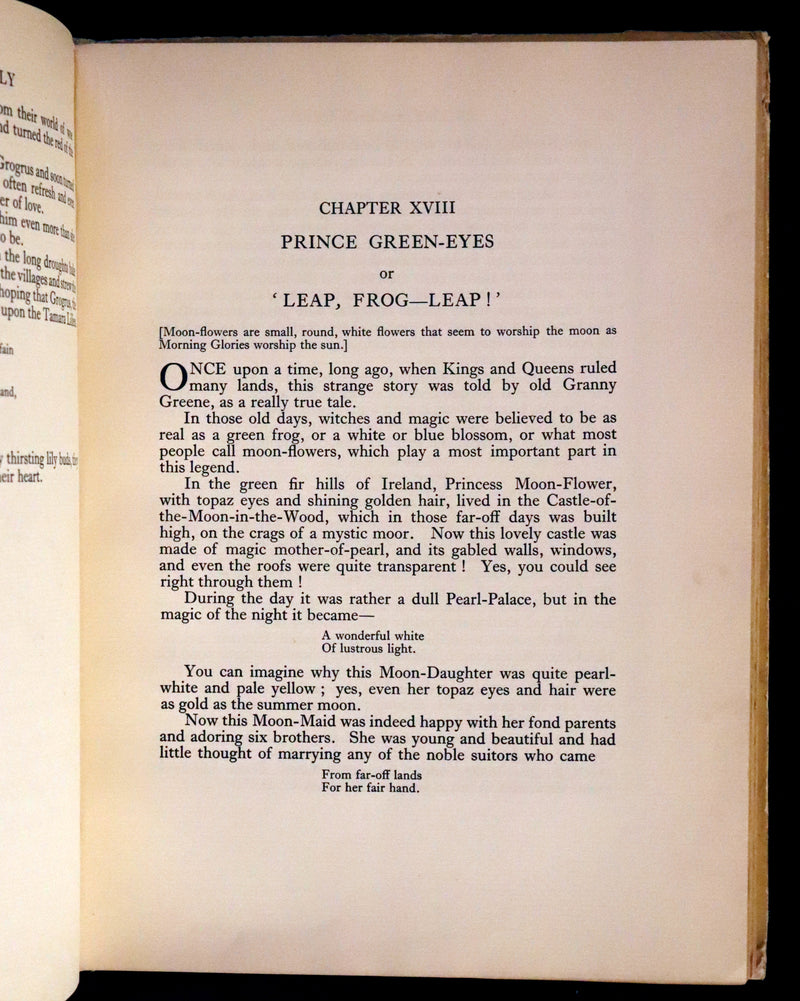 1926 Rare Book - Fairy Flowers, Nature Legends of Fact and Fantasy by Isidora Newman Illustrated by Willy Pogany.