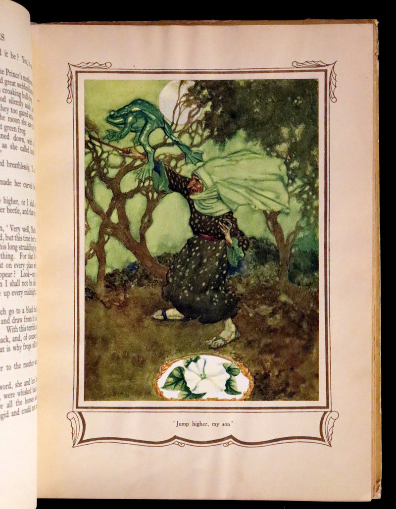 1926 Rare Book - Fairy Flowers, Nature Legends of Fact and Fantasy by Isidora Newman Illustrated by Willy Pogany.