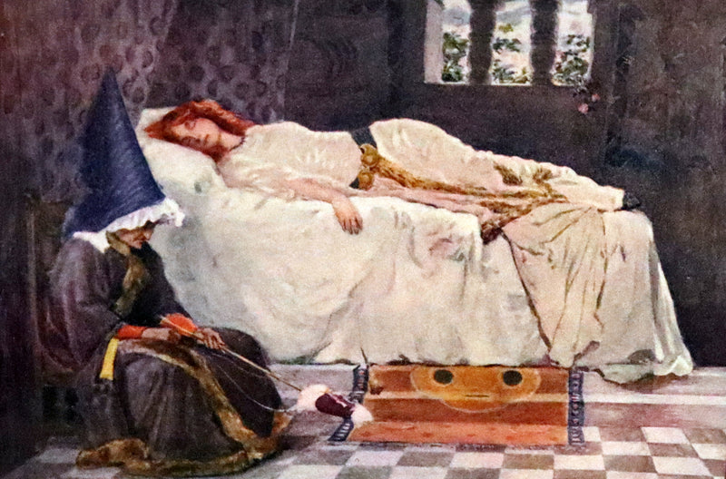 1900 Scarce Book - The Sleeping Beauty Other Stories. Illustrated.