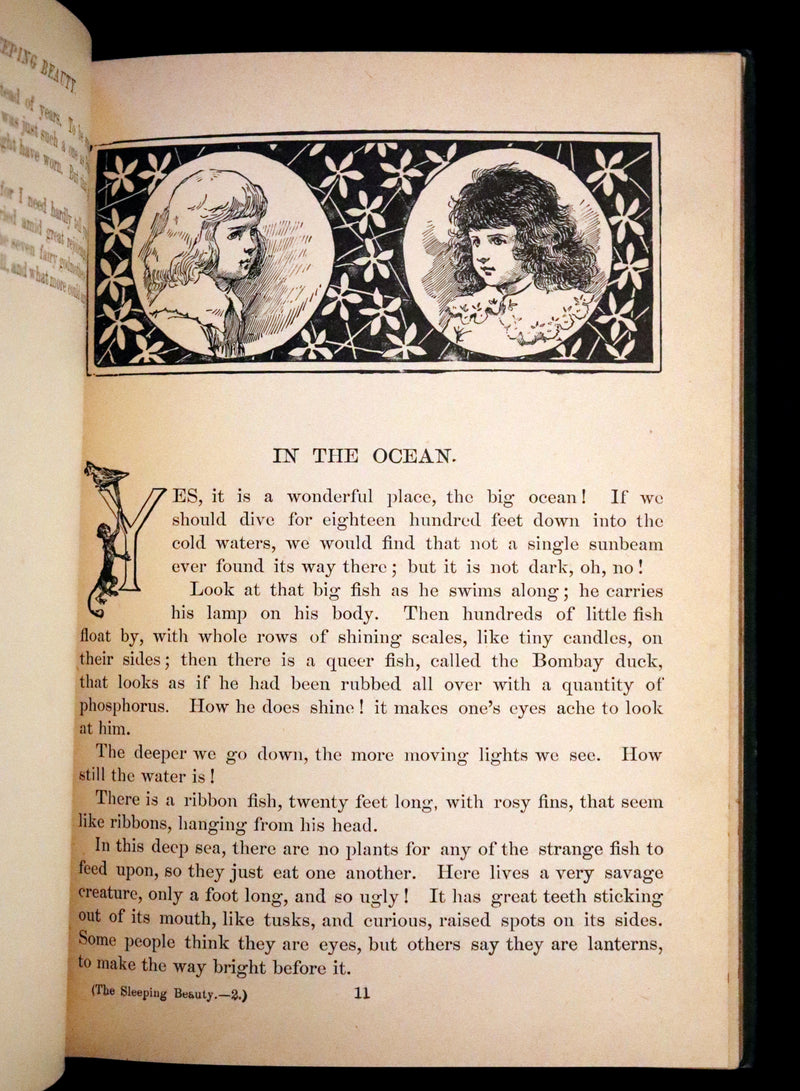 1900 Scarce Book - The Sleeping Beauty Other Stories. Illustrated.
