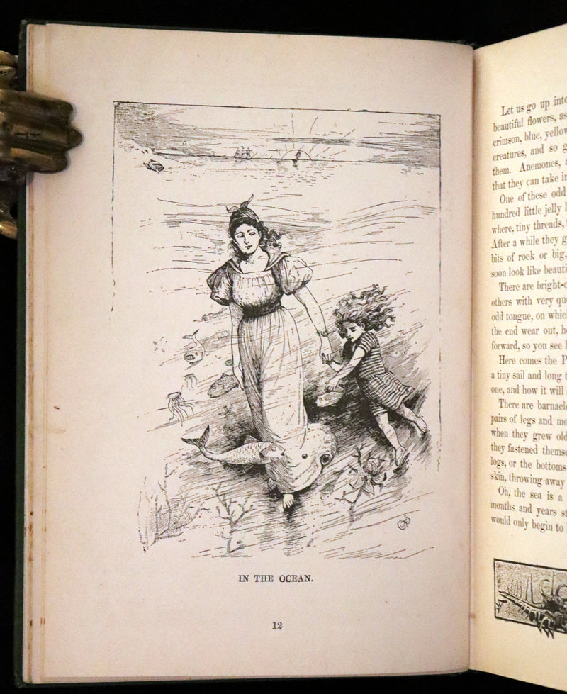 1900 Scarce Book - The Sleeping Beauty Other Stories. Illustrated.