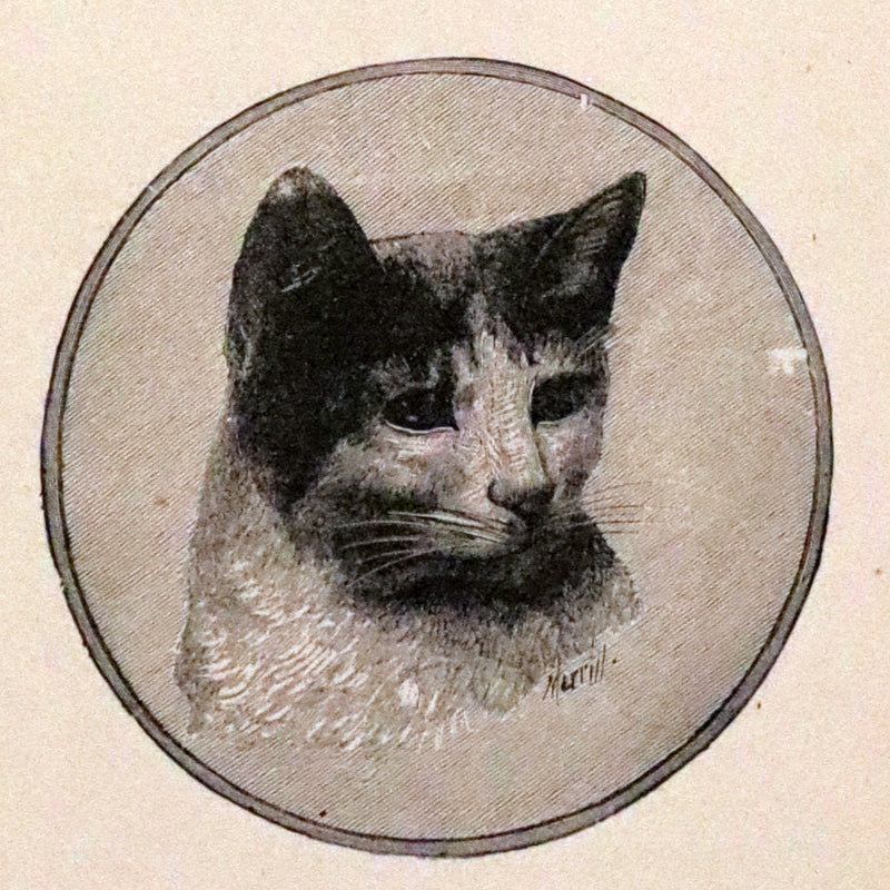 1900 Scarce Book - The Sleeping Beauty Other Stories. Illustrated.