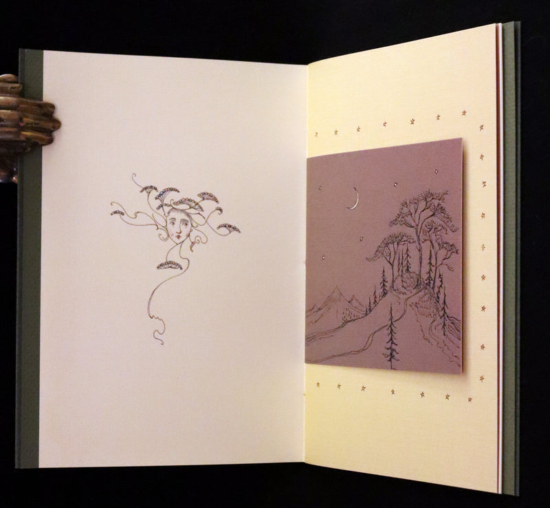 2015 Scarce Limited Deluxe First Edition - Tree Whispers by Charles van Sandwyk. #17 of 120 copies.