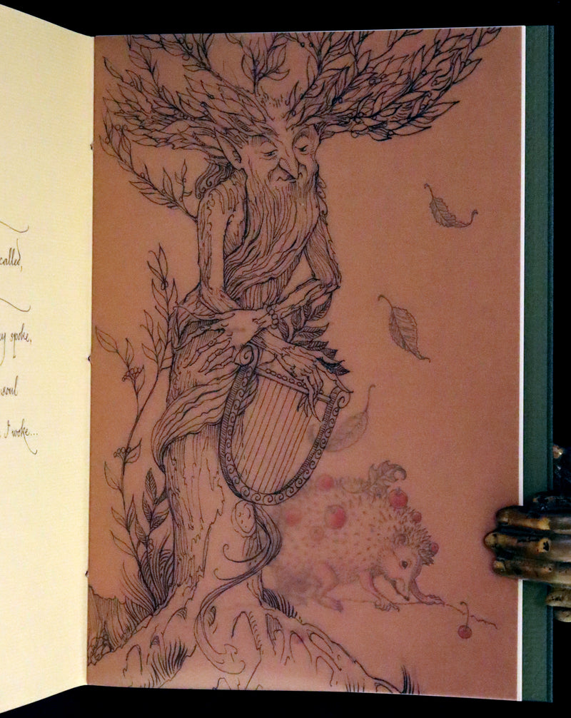 2015 Scarce Limited Deluxe First Edition - Tree Whispers by Charles van Sandwyk. #17 of 120 copies.