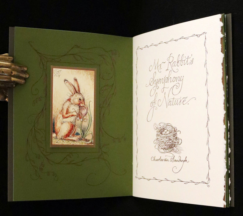 2008 Rare First Edition - Mr. Rabbit's Symphony of Nature by Charles van Sandwyk. With “frolicking frogs” bookmark.